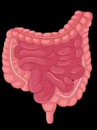 Gastro Intestinal