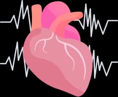 Heart Test