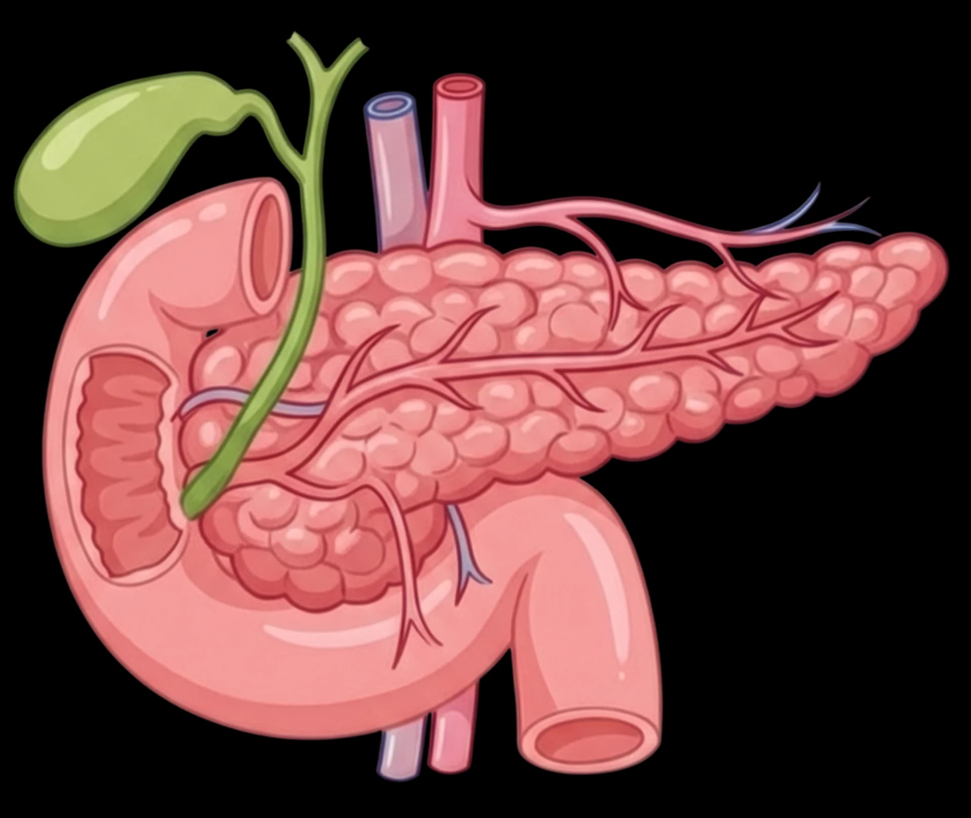 Pancreas Test