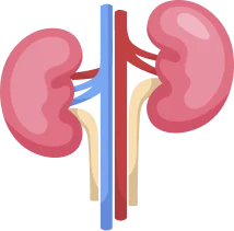 Kidney Test